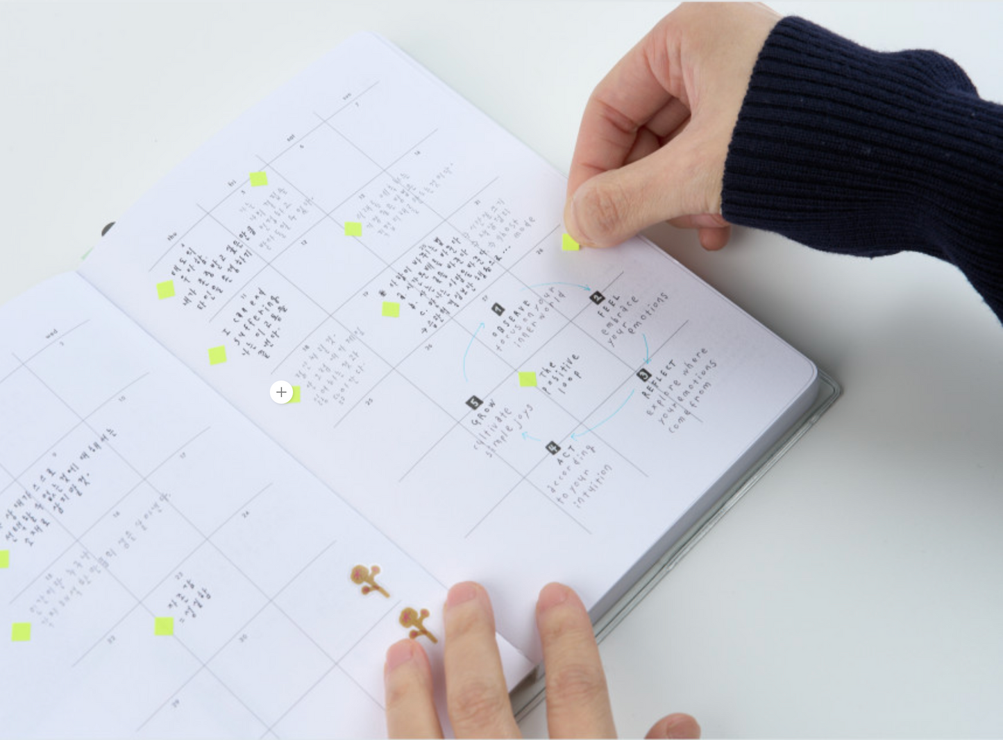 Analogue Keeper 2026 Daily Diary [ B-Grade ]