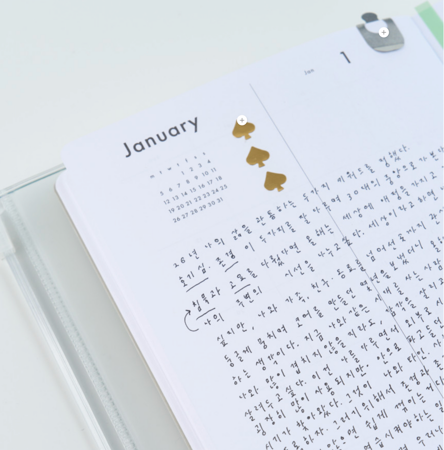 Analogue Keeper 2026 Daily Diary [ B-Grade ]