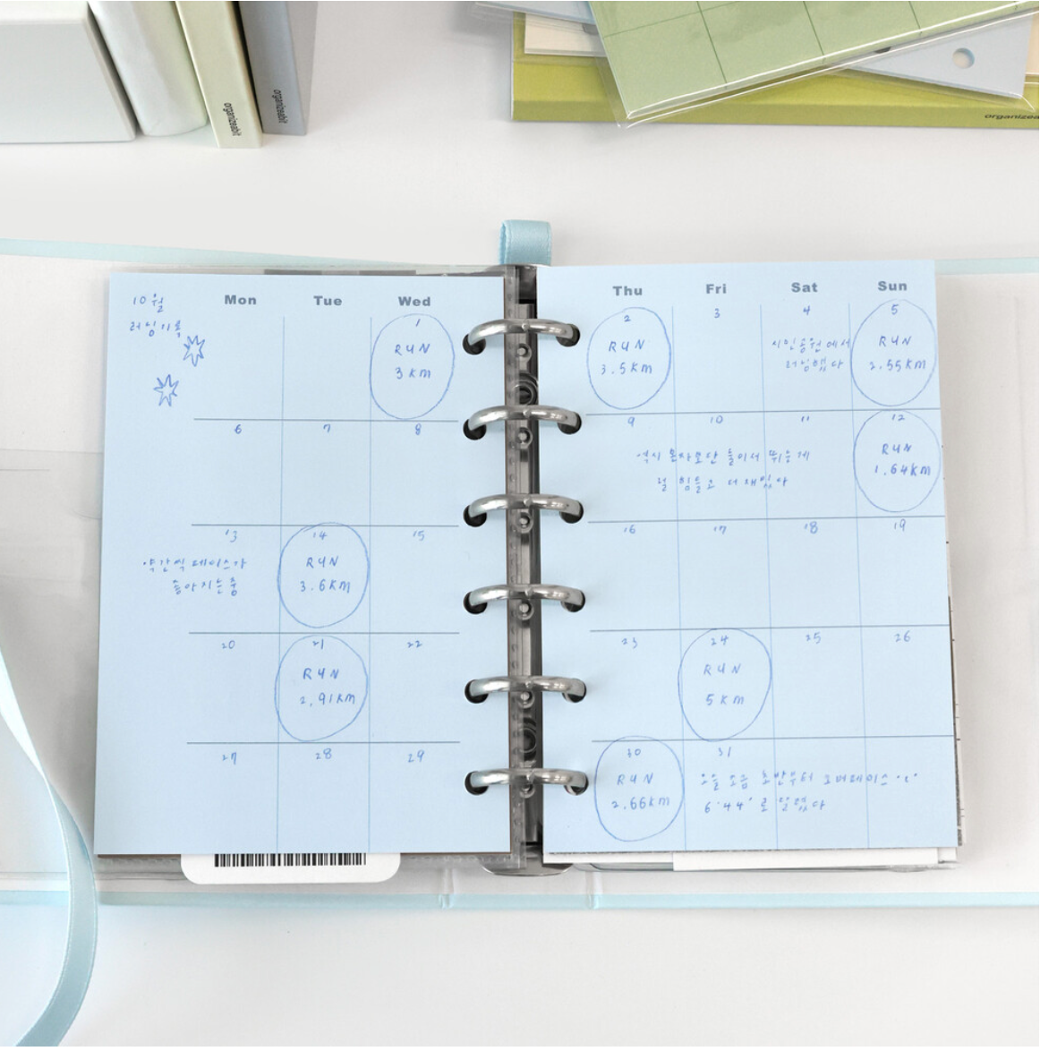 Organize a bit Undated Pocket Size Monthly Calendar Refill / 2 Colors