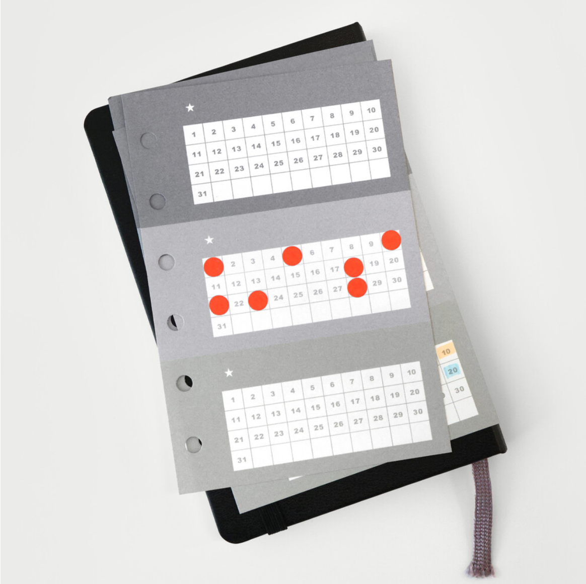 Organize a bit Pocket Size Monthly Tracker Refill