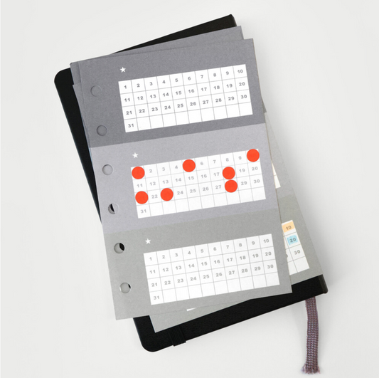 Organize a bit Pocket Size Monthly Tracker Refill