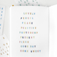 Organize a bit Alphabet Sticker Set / 4 Designs