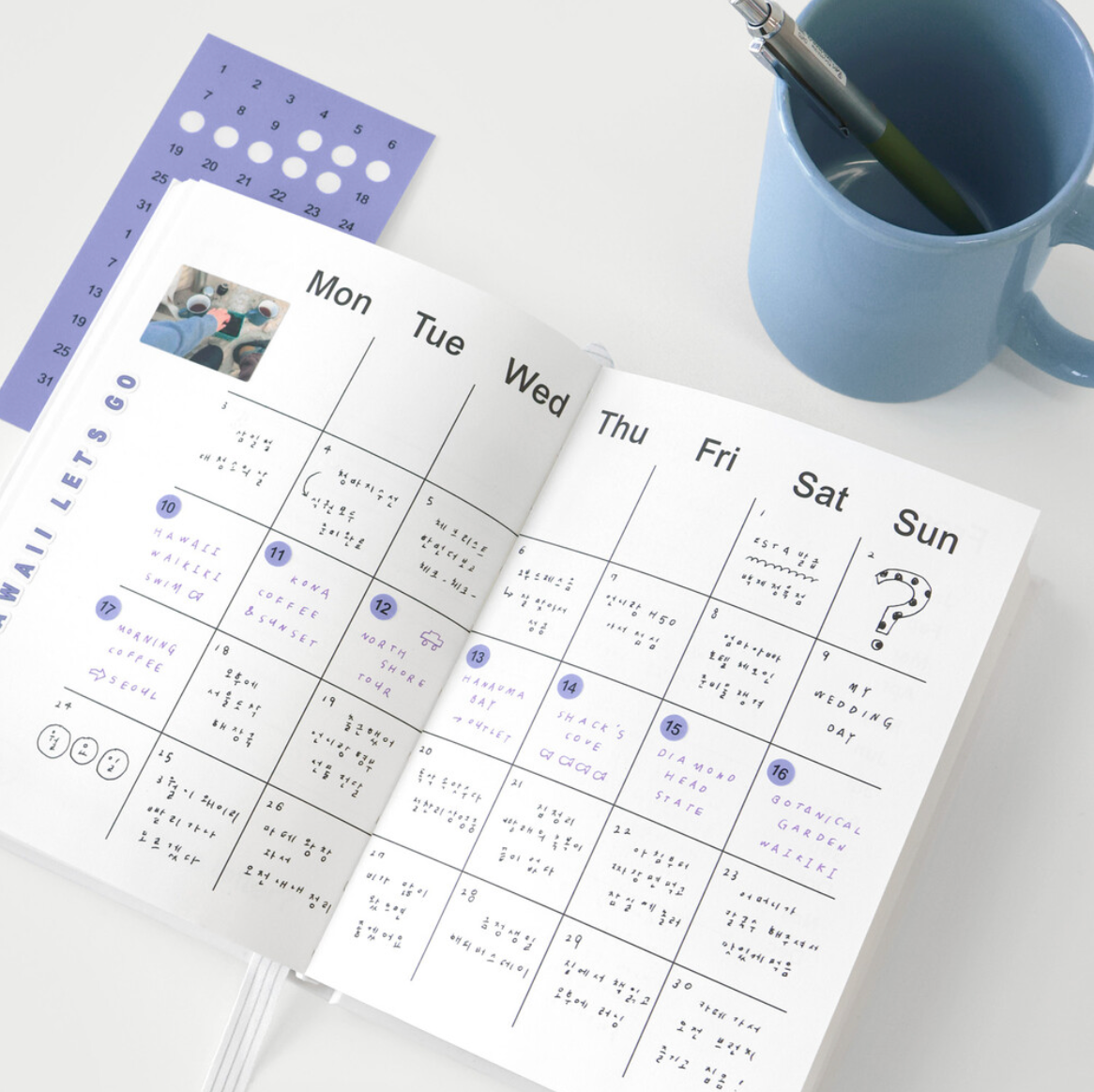 Organize a bit Date Sticker Set / 8 Styles
