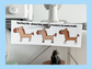 Scooty Studio The Pony Trio Large Long Sticker