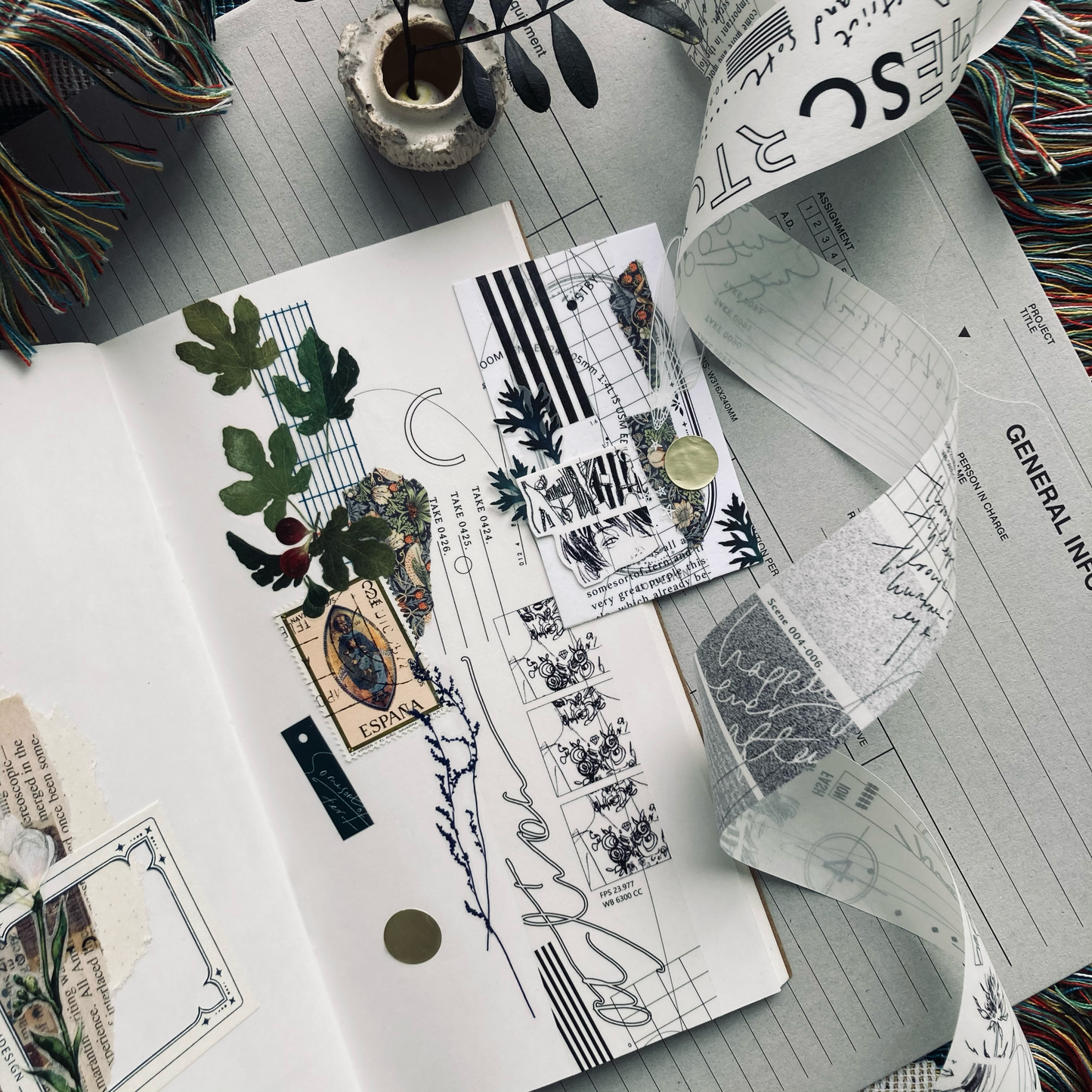 Somesortof.fern The Movie Script Tracing Paper Tape