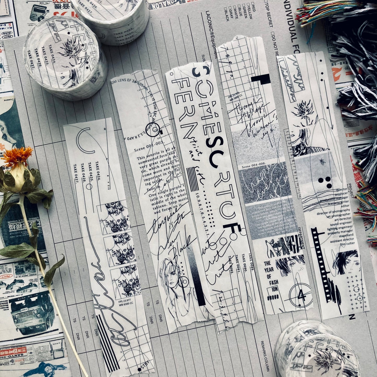 Somesortof.fern The Movie Script Tracing Paper Tape