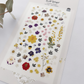 Suatelier Deco Flower Sticker // no. 1050