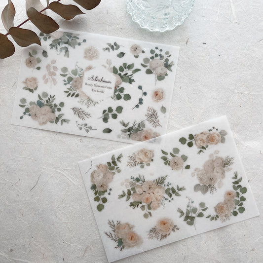 MU Print-On Sticker // No. 152, 162, 169, 171