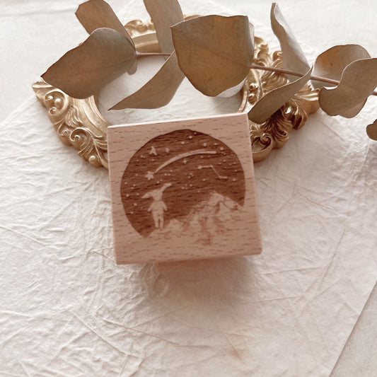 Two Raccoons The Milky Way Rubber Stamps