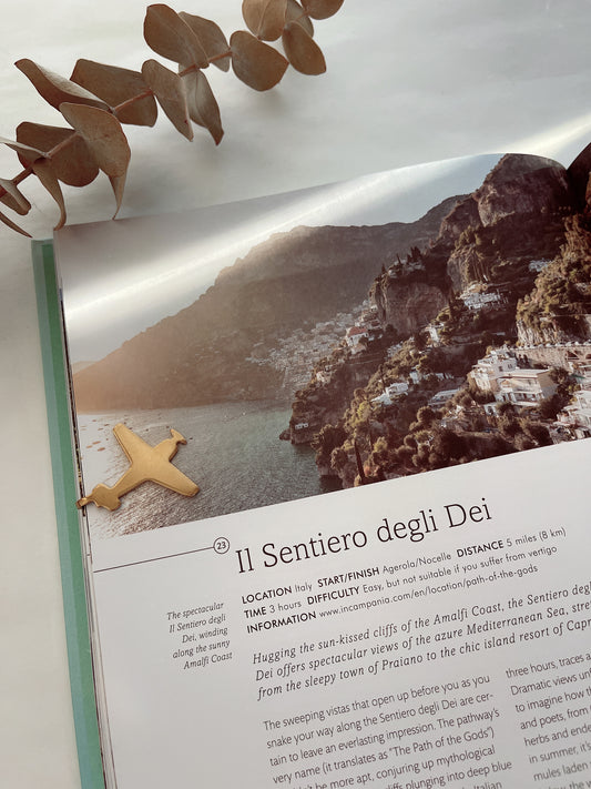 Fly High Journal Clip