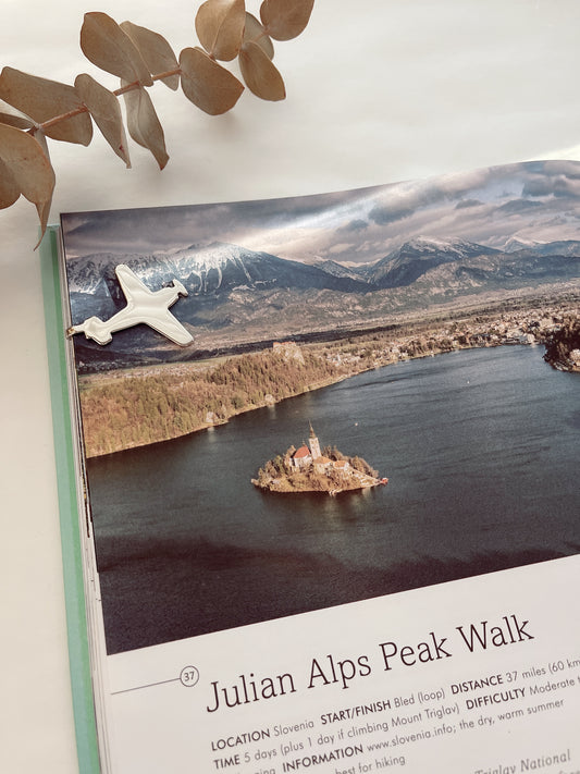 Fly High Journal Clip