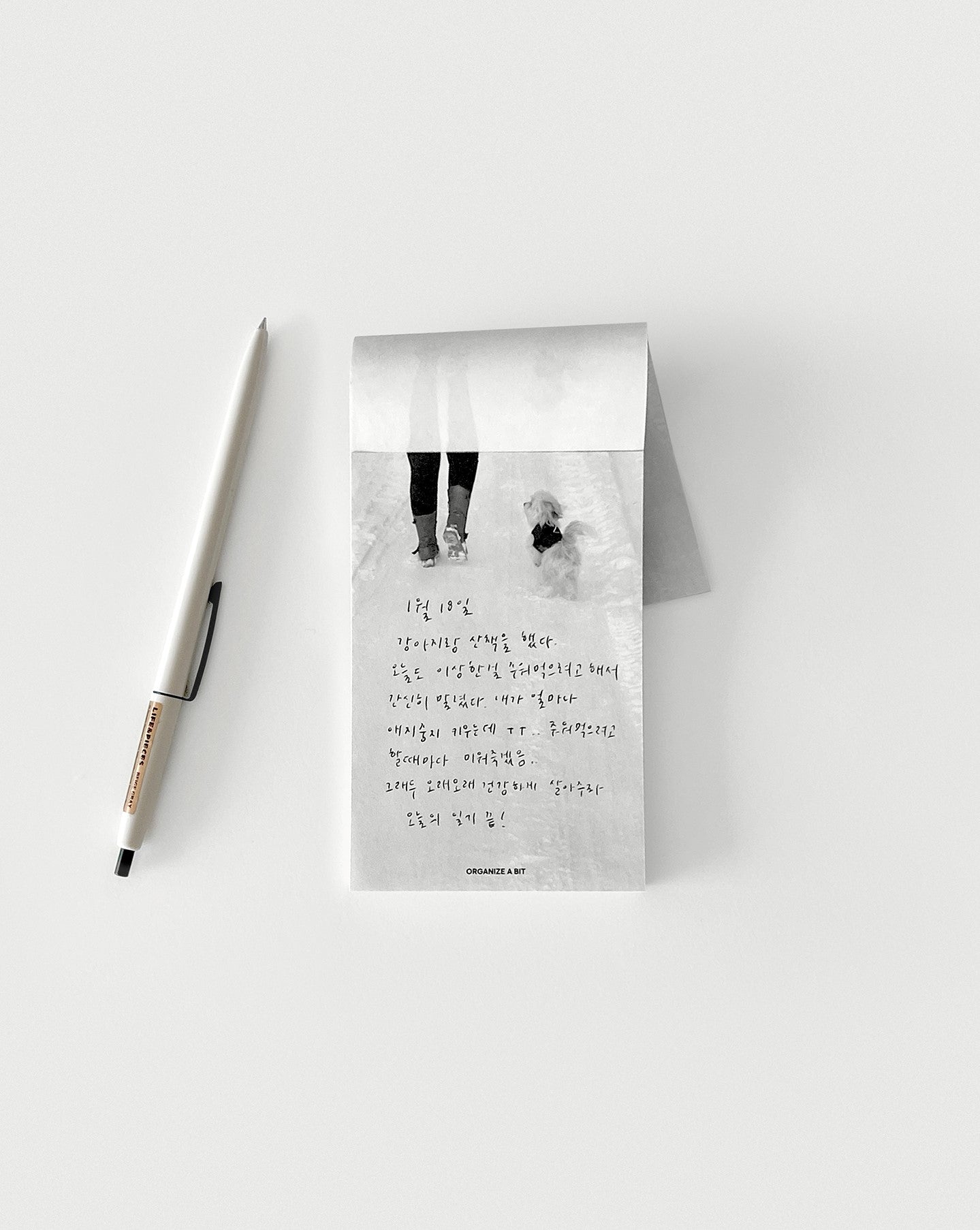 Organize a bit Photo Memo __ puppy